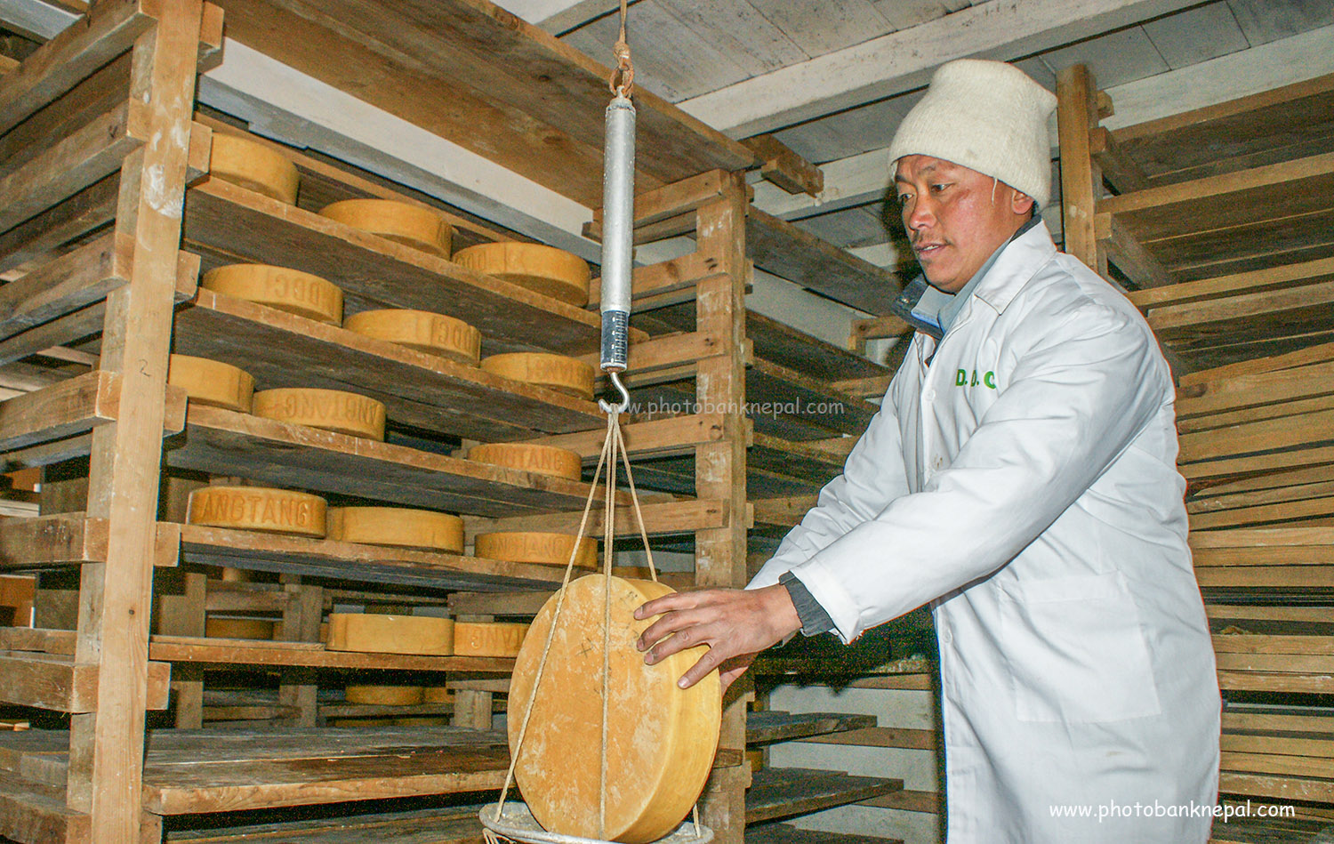 Rasuwa, the cheese production